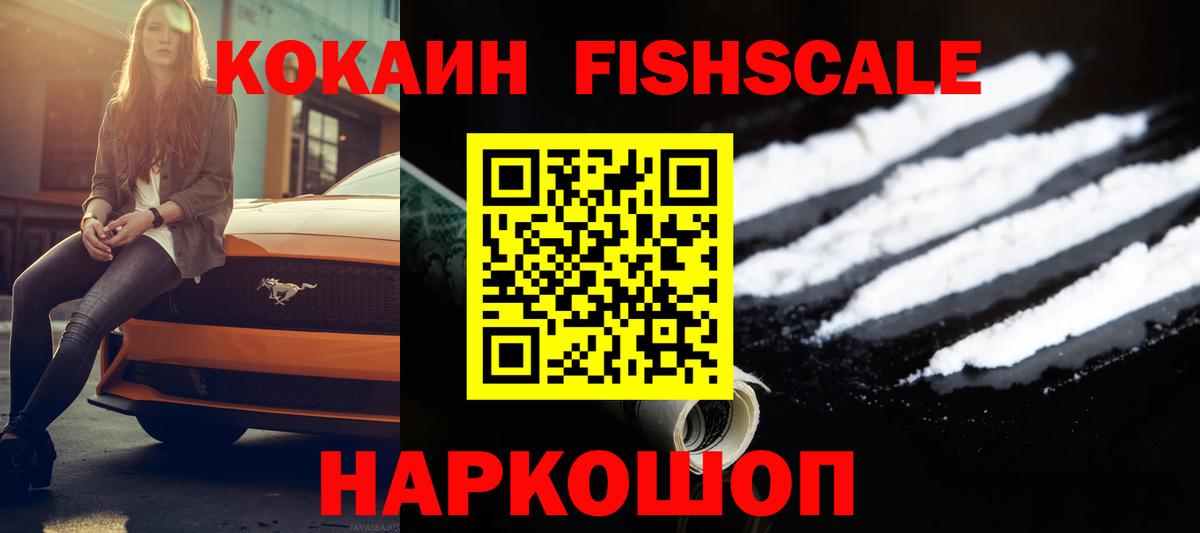 Альфа ПВП Будённовск