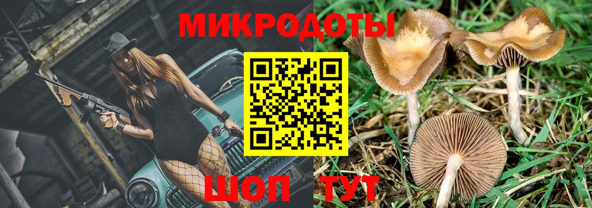 Псилоцибиновые грибы Psilocybe  Псилоцибиновые грибы мицелий  Будённовск  Вход с VPN 