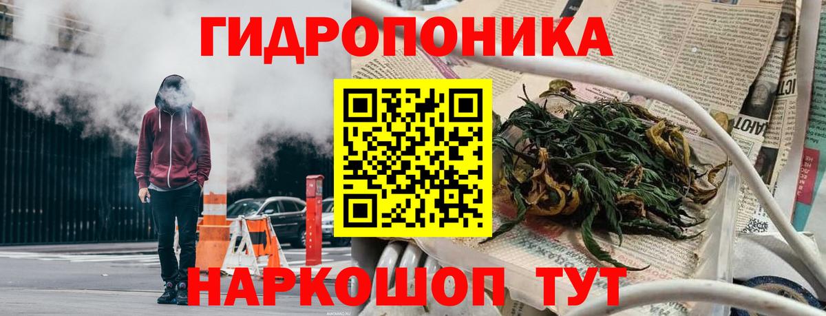 Бошки Шишки планчик  Конопля White Widow  Будённовск  Вход с VPN  Каннабис семена  МАРИХУАНА план 
